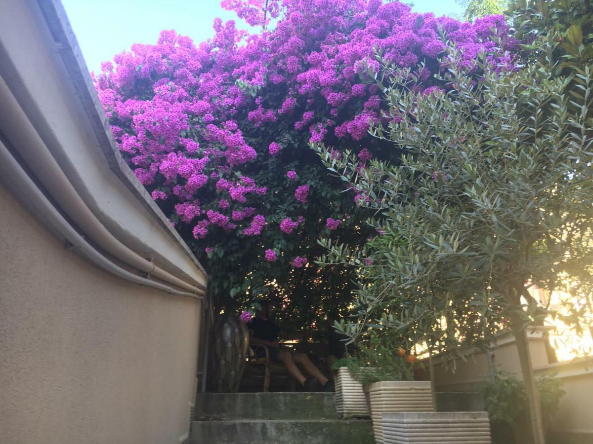 B&B La Bougainvillea Andria Eksteriør billede